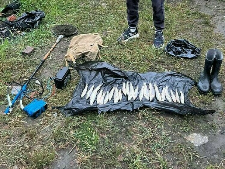 Изображение Браконьер с электроудочкой задержан в РСО-Алания