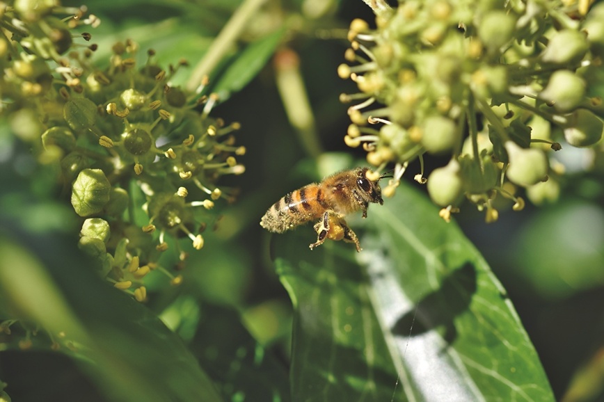 Изображение Фото: 1zoom.ru 