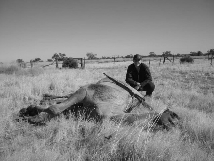 Изображение Фото: africahunting.com