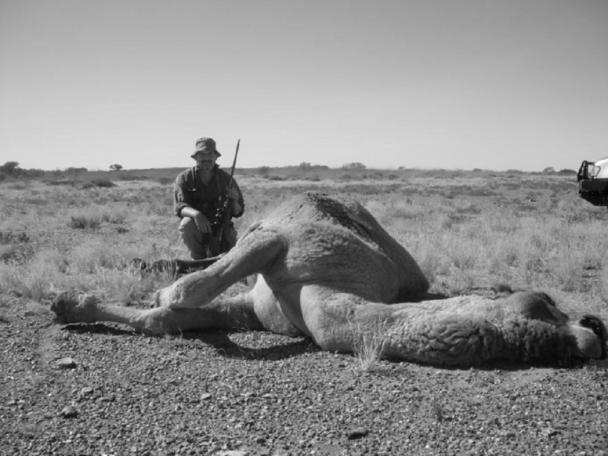 Изображение Фото: africahunting.com