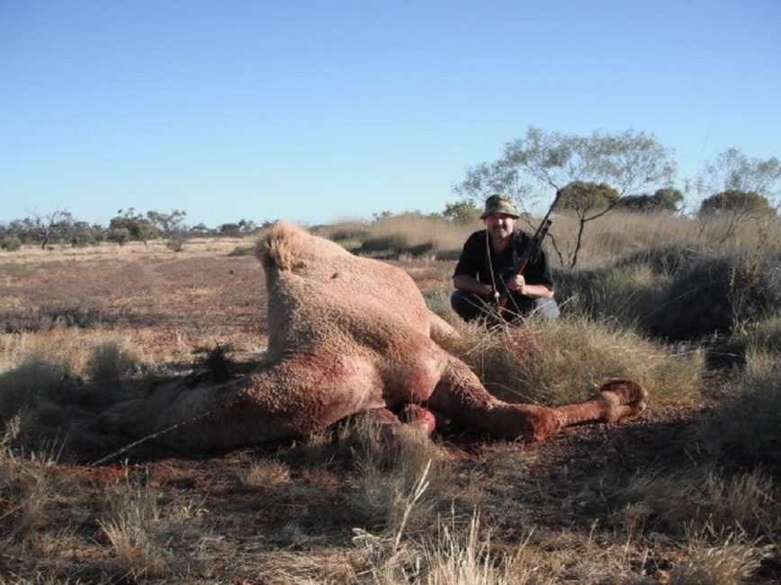Изображение Фото: africahunting.com