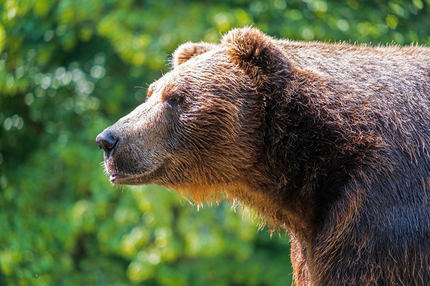 Изображение Фото: 1zoom.ru