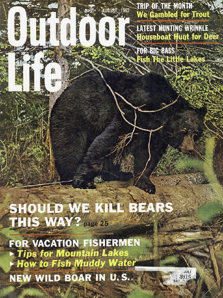 Изображение Иллюстрация портала Outdoorlife.com
