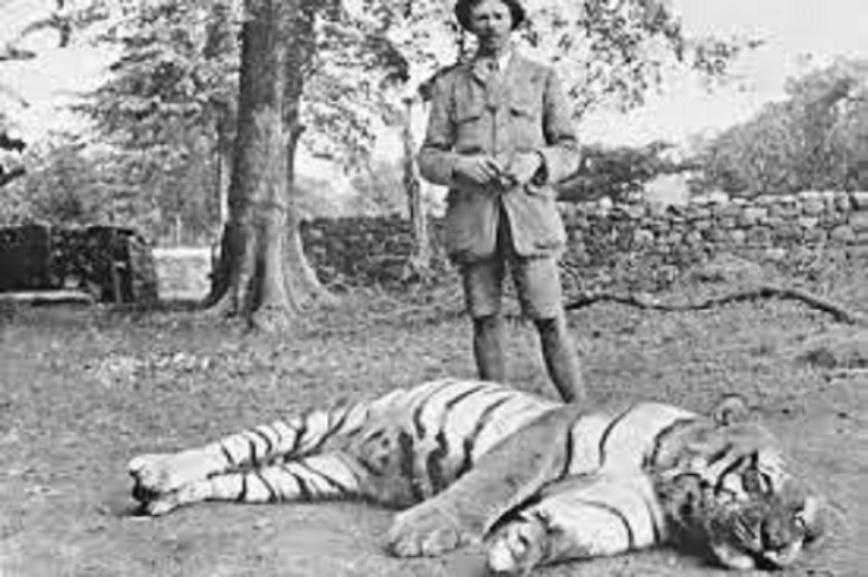 Изображение Фото: africahunting.com
