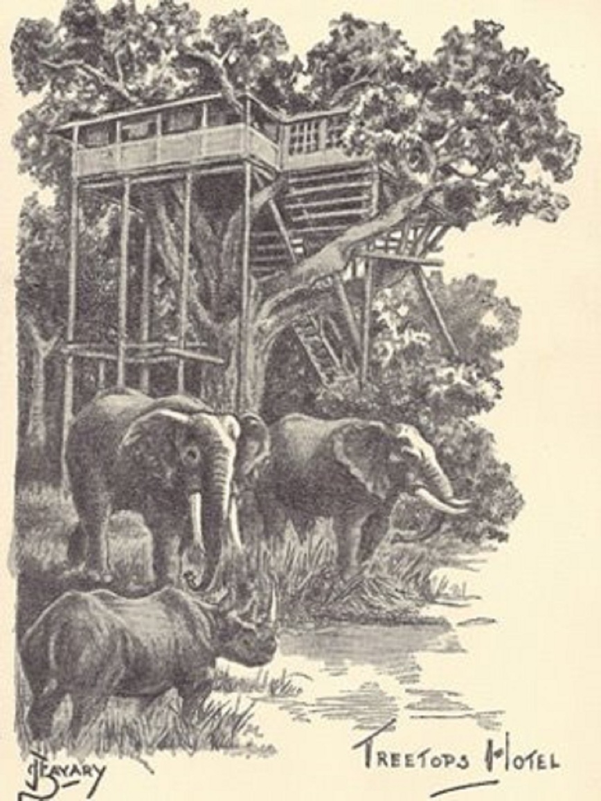 Изображение Фото: africahunting.com