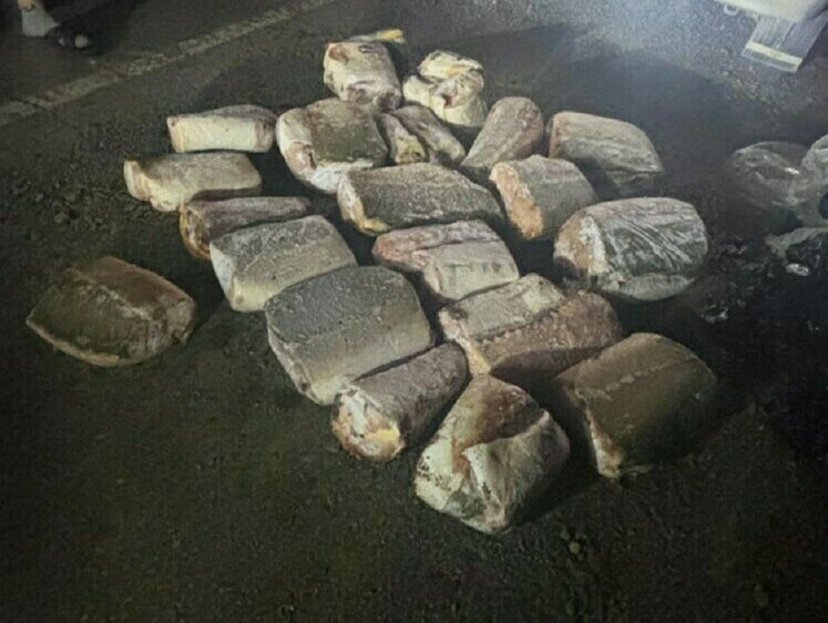 Изображение Подвезти осетров не дали сотрудники Госавтоинспекции