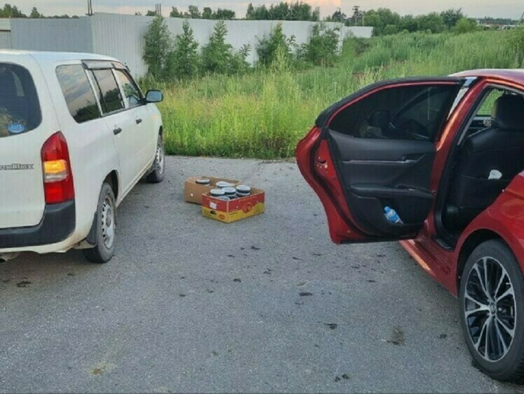 Изображение Расфасованную и упакованную черную икру можно найти в кустах