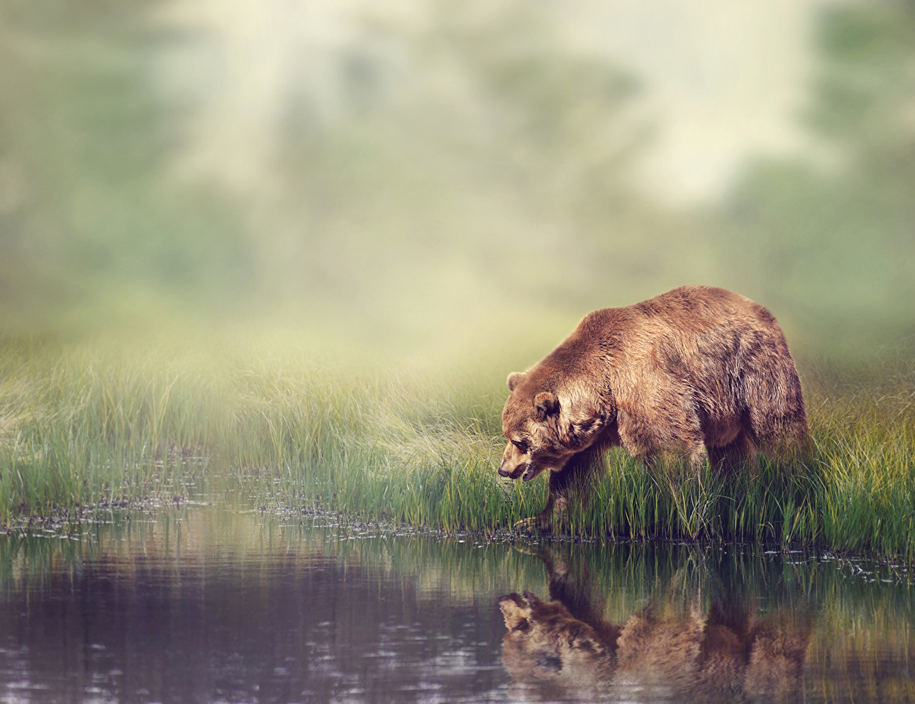 Изображение Фото: 1zoom.ru