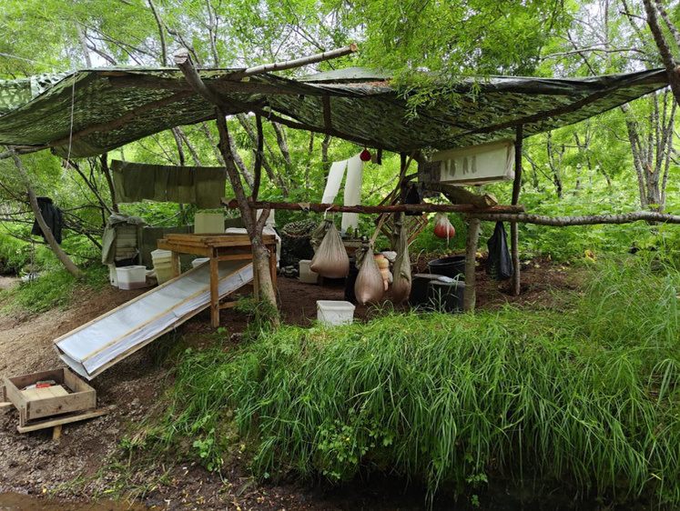 Заготовители икры бросают снасти, лодки, улов и скрываются 