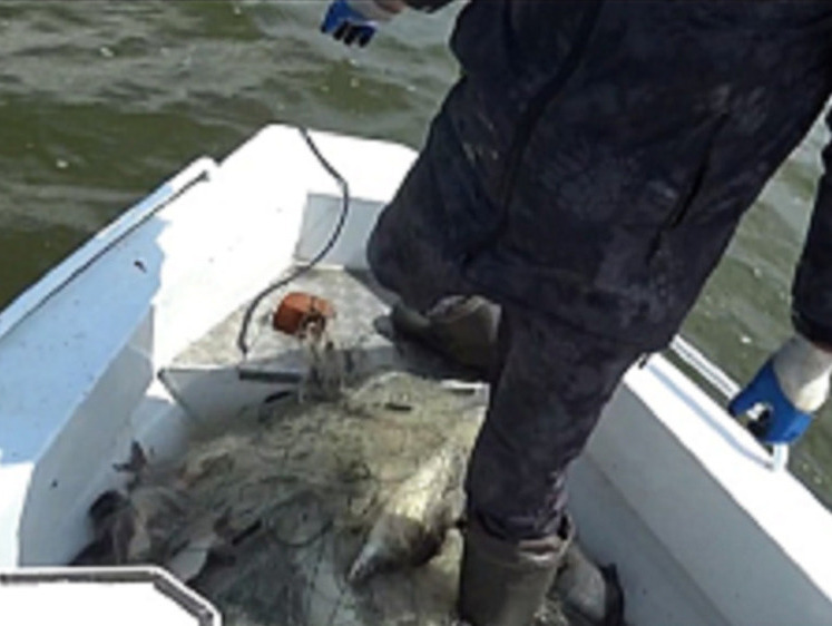 В совместных рейдах у нарушителей изъяли 342 орудия лова