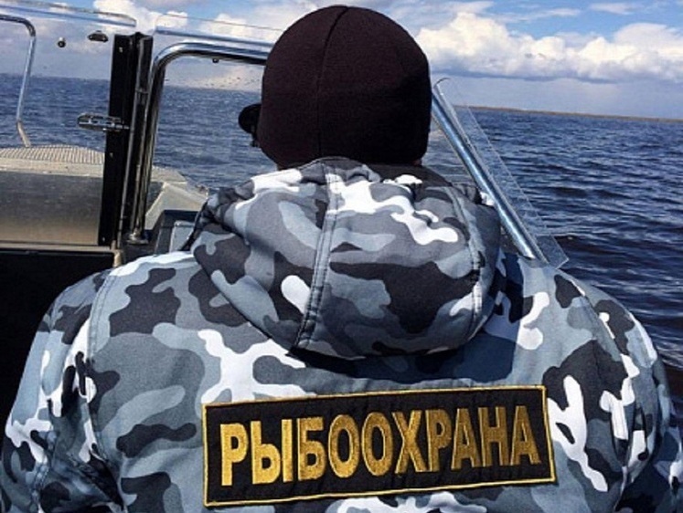 Изображение На Сахалине за неделю изъяли более 70 кг браконьерской икры