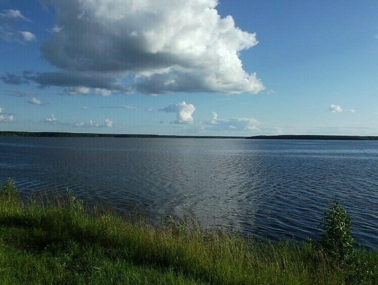 Изображение Угличское водохранилище пользуется спросом у браконьеров
