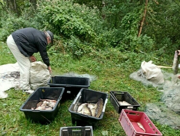 Изображение На Чудском озере браконьеров обнаружили с помощью тепловизора