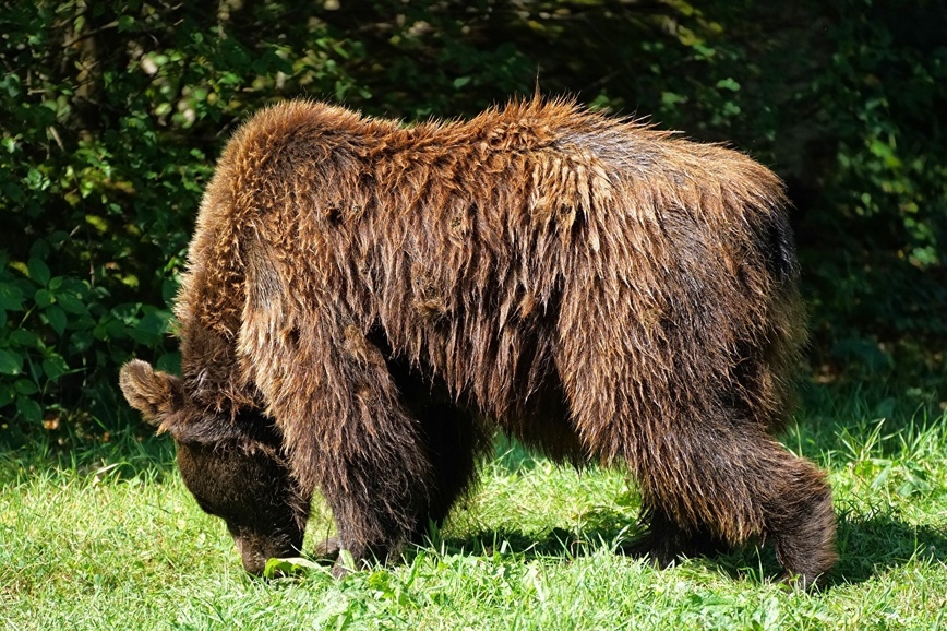 Изображение Фото: 1zoom.ru/Kycb