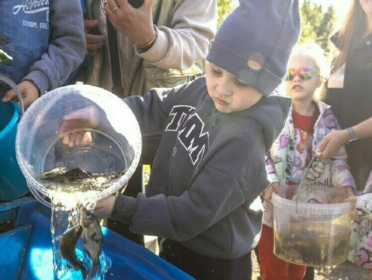 Изображение Зарыбление Нижнетагильского водохранилища