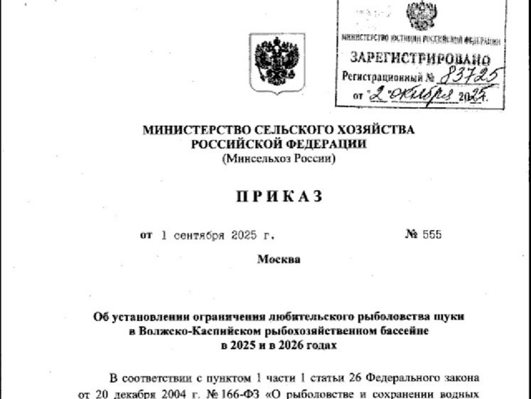 Изображение К запрету на воблу добавили запрет любительской ловли щуки