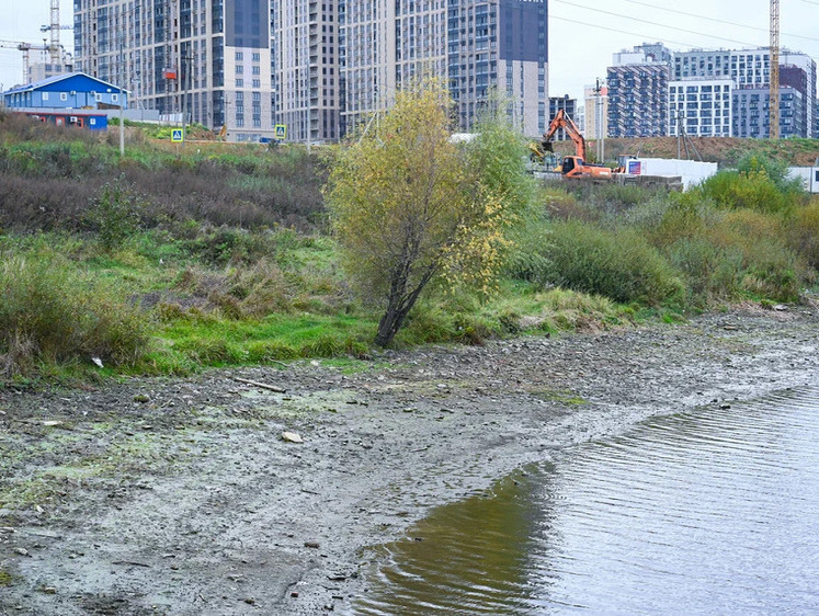 Изображение В Пуговичинском пруду поднимут уровень воды и запустят рыбу