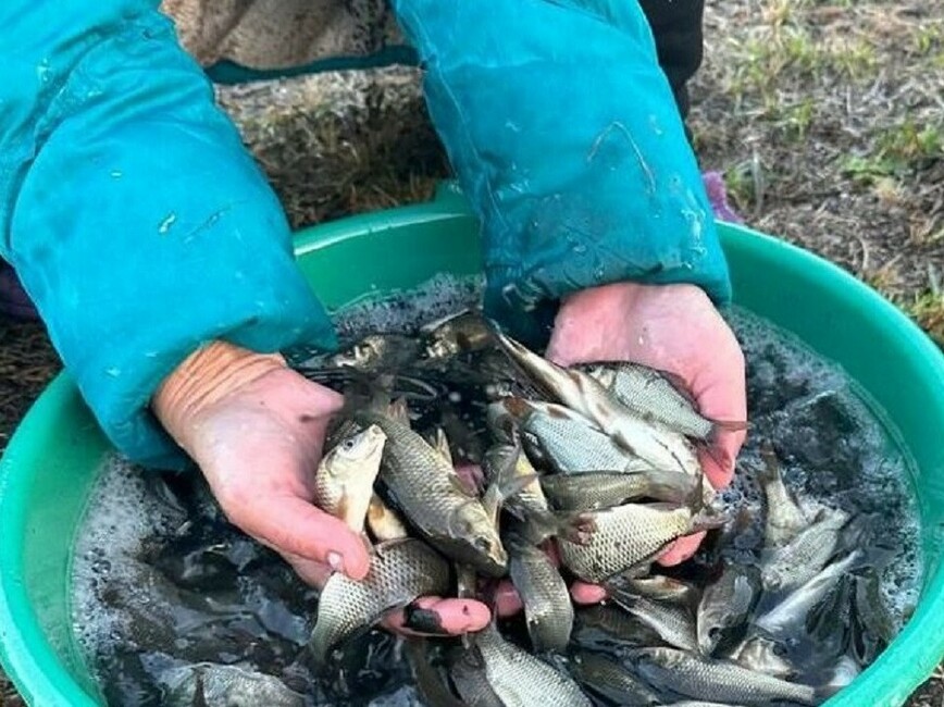 Изображение Фото: Главрыбвод. 