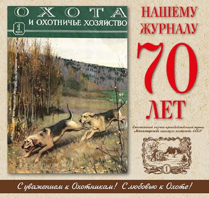 Изображение Фото: ohothoz.com