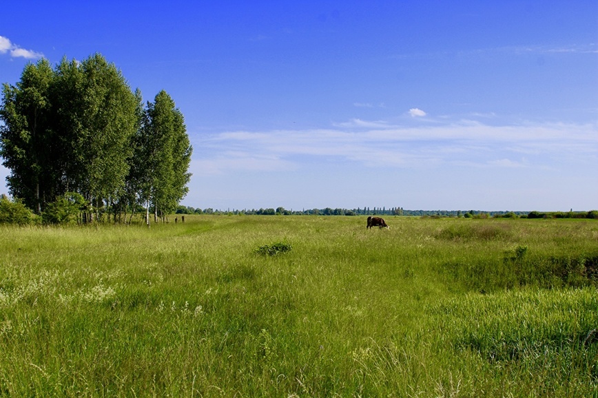 Изображение Фото: 1zoom.ru/woodman