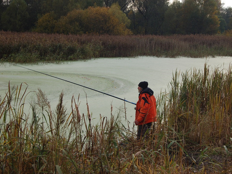 Вести с водоемов