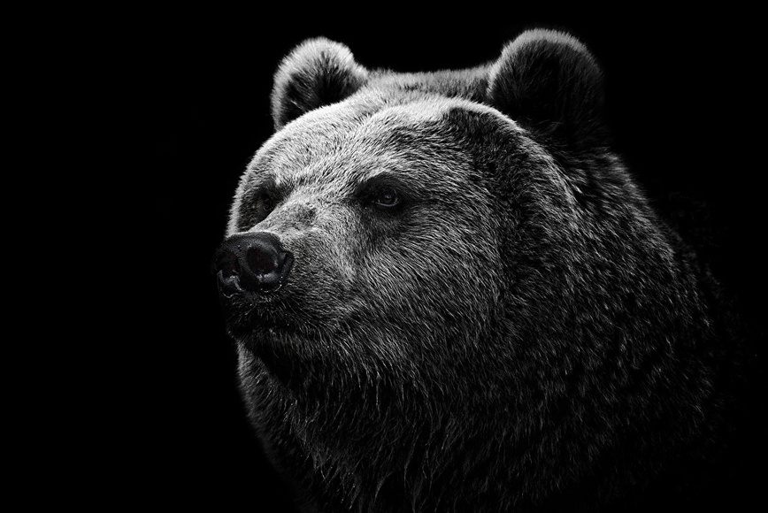 Изображение Фото: 1zoom.ru/alexfas01