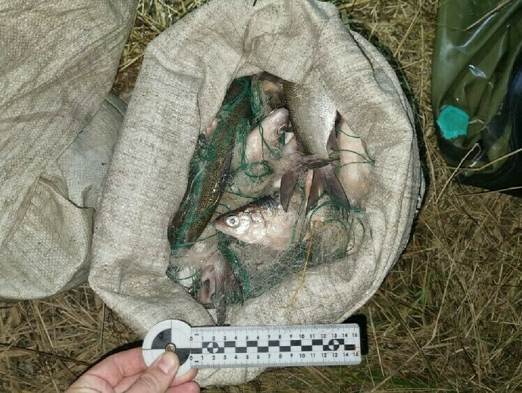 Изображение В Курганской области задержали еще трех рыбных воров