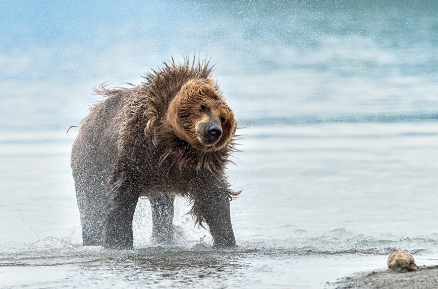 Изображение Фото: 1zoom.ru/kysb