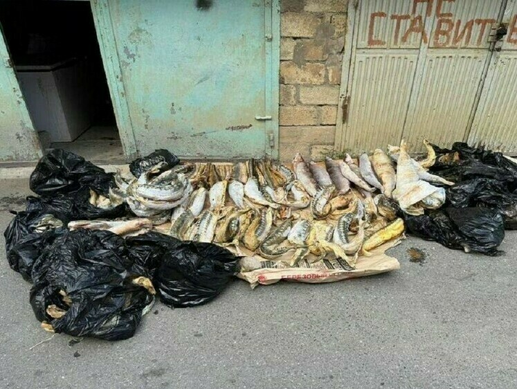 Изображение В Дербенте изъята крупная партия краснокнижной рыбы и черной икры