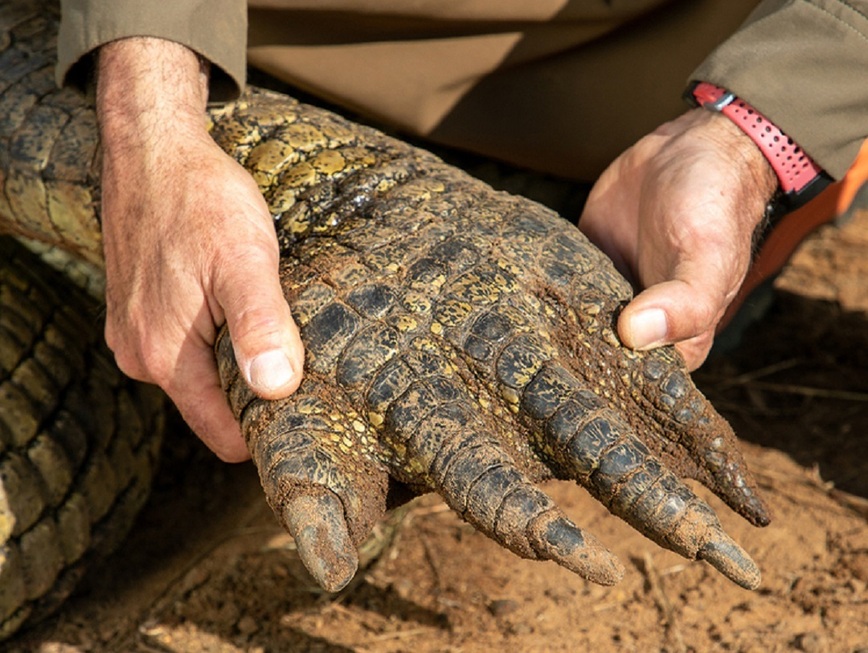 Изображение Фото: outdoorlife.com  