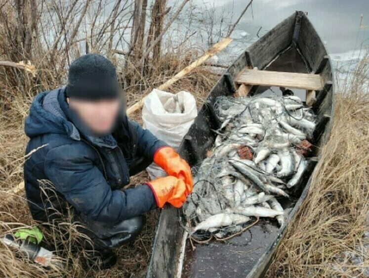В Северобайкальском районе задержали браконьера, поймавшего 231 омуля