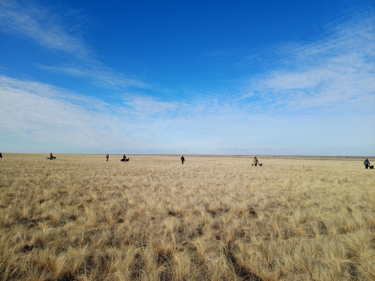 Изображение Фото автора