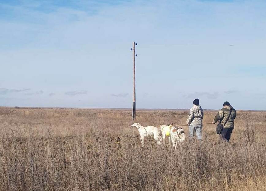 Изображение Фото автора