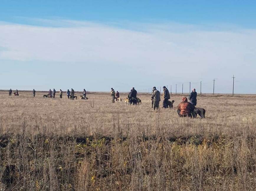 Изображение Фото автора