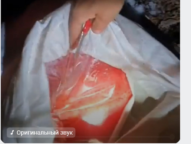 Браконьеры бросили два мешка икры, лодку и бежали от рыбоохраны