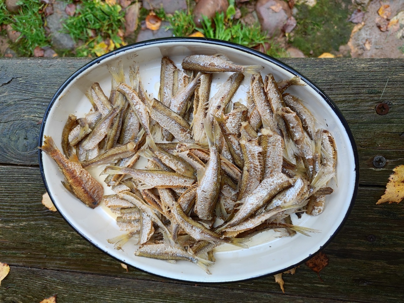 Изображение Уклейка из кипящего масла. Фото : Яншевского Андрея. 