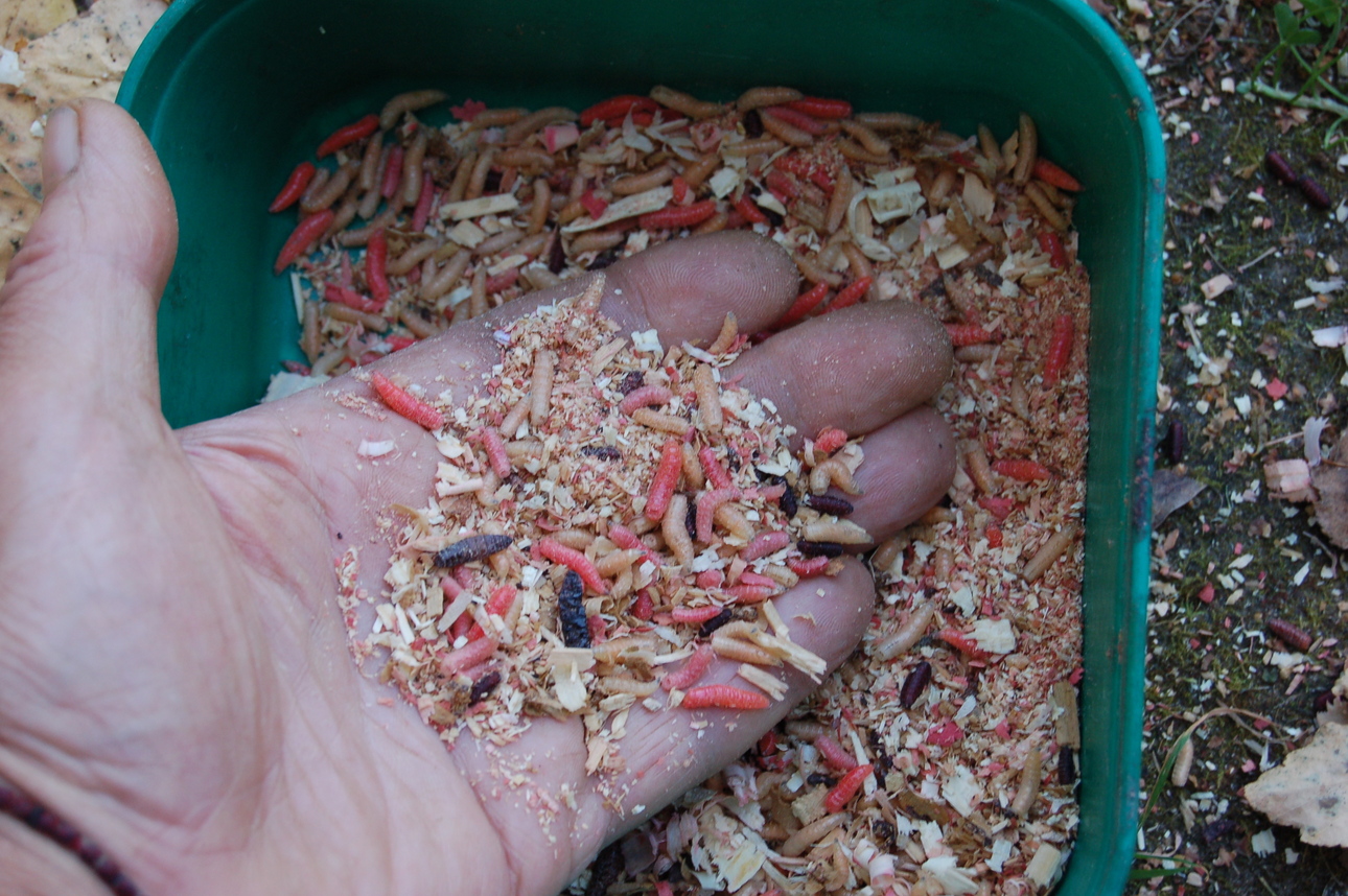 Изображение Фото : Яншевского Андрея. 