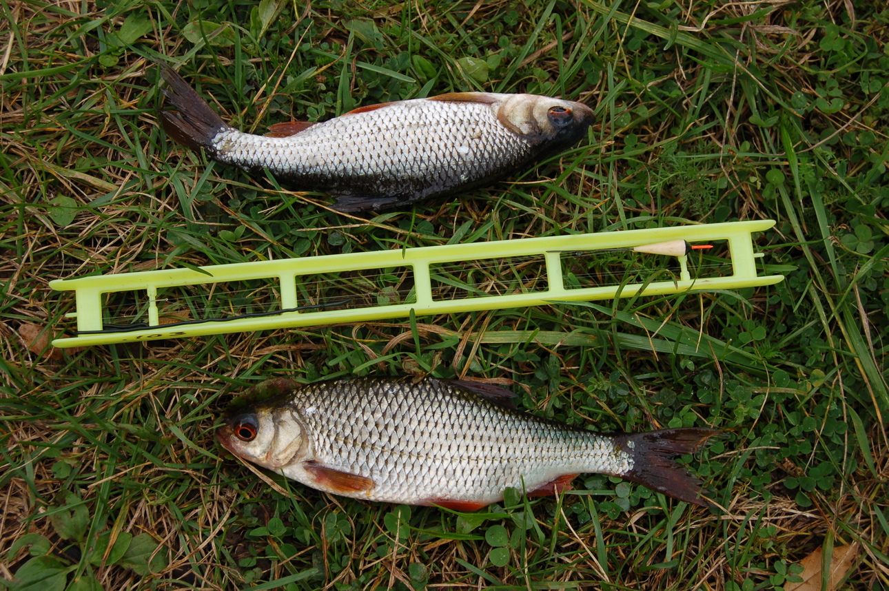 Изображение Фото : Яншевского Андрея. 