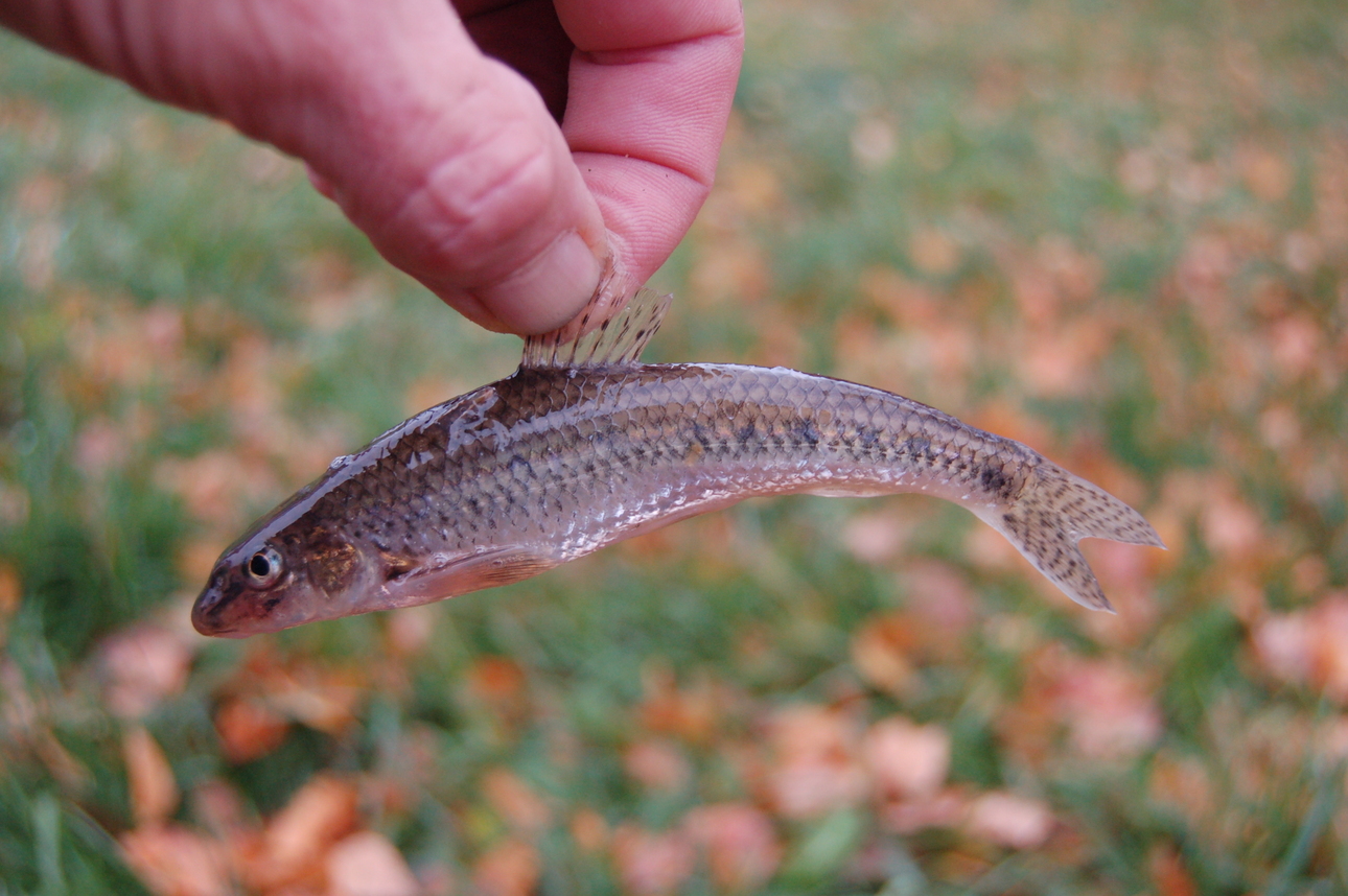 Изображение Фото: Яншевского Андрея.