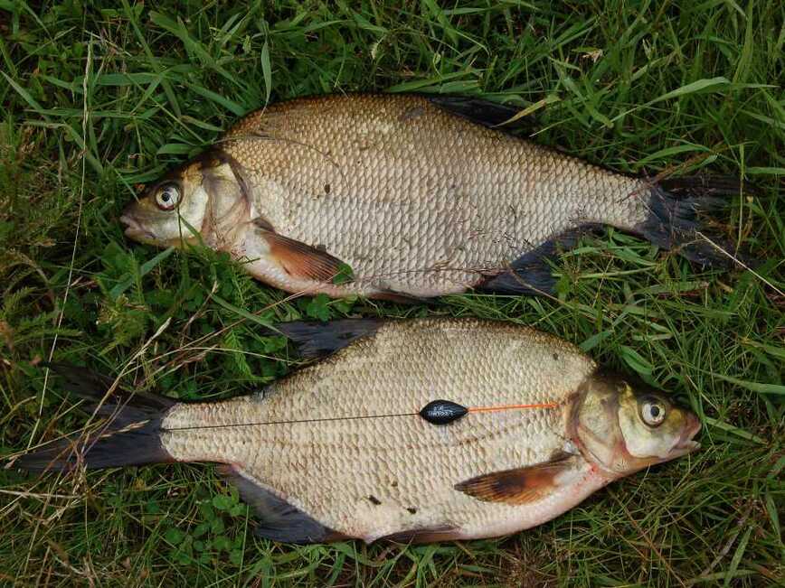 Изображение Фото : Яншевского Андрея. 