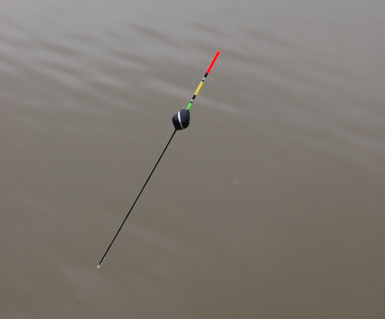 Изображение Фото: Яншевского Андрея.