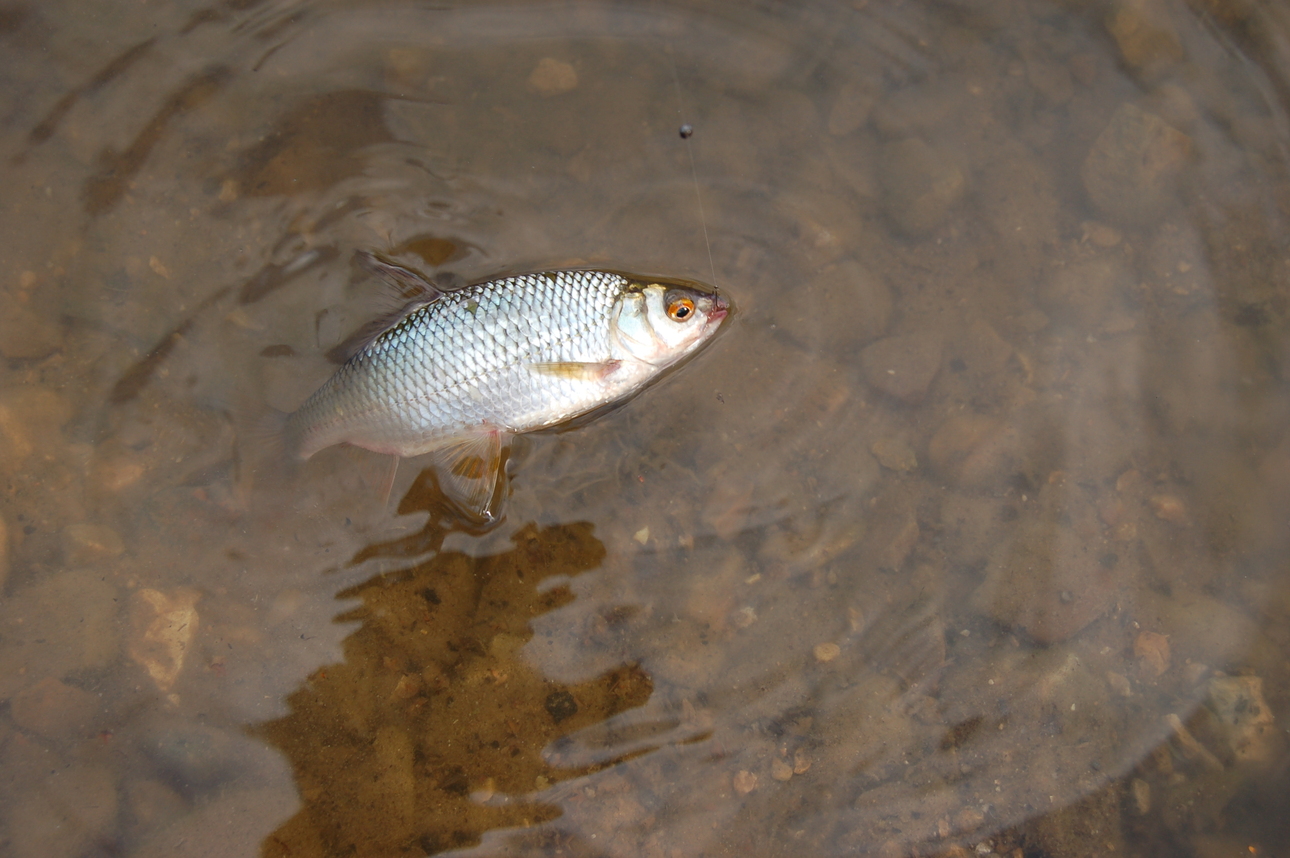 Изображение Фото: Яншевского Андрея.