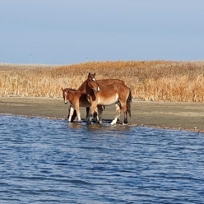 Изображение Фото: Коломийца Алексея. 