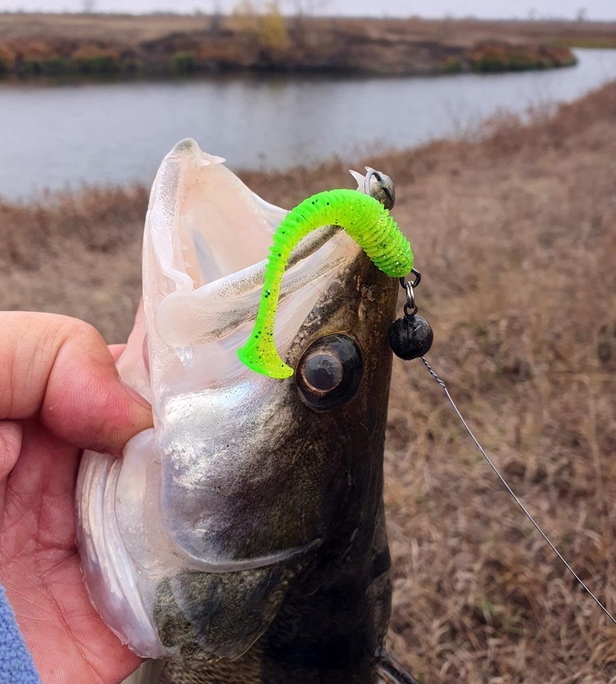 Изображение Фото: Коломийца Алексея. 