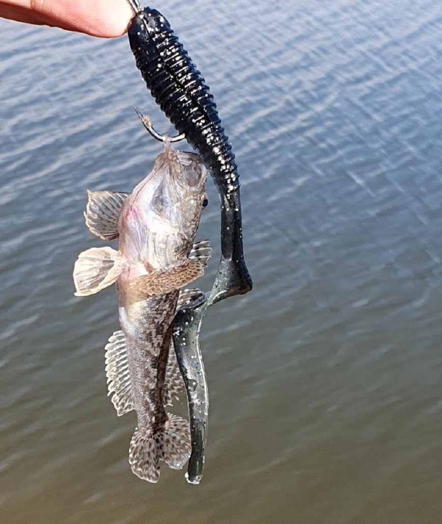 Изображение Фото: Коломийца Алексея. 