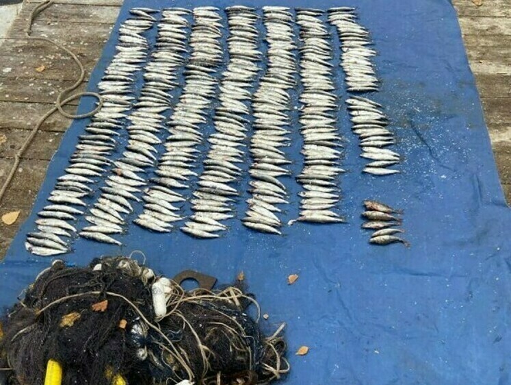 Росгвардия задерживает обнаруженных рыбоохраной браконьеров