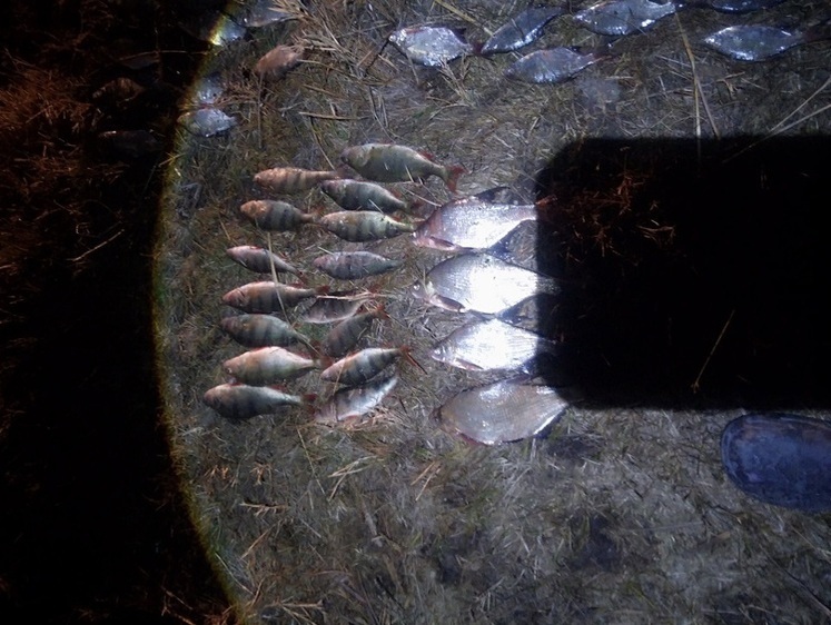 На Нижней Волге за неделю изъяли и подняли более 600 снастей