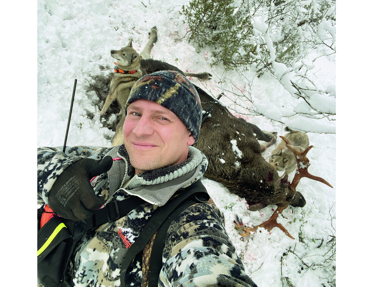 Изображение Зверь лежит, а это значит, все сделано правильно. Фото: Данил ПЕСТЕРЕВ 