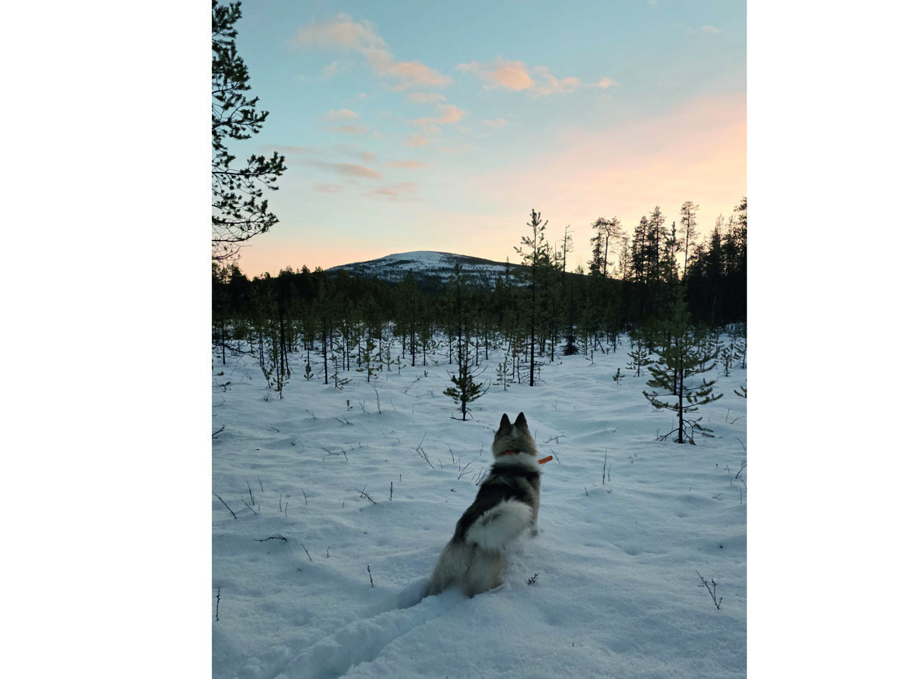Изображение Начало дня волнует всех членов команды. Фото: Данил ПЕСТЕРЕВ 