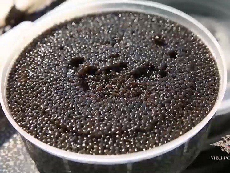 В Перми изъяли 62 кг черной икры без документов